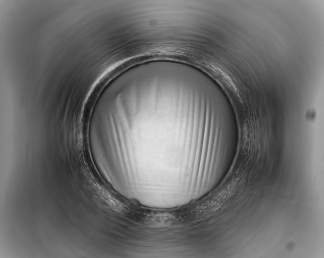 X0000097960784200804071029
