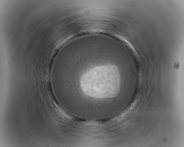 X0000097960785200804071029