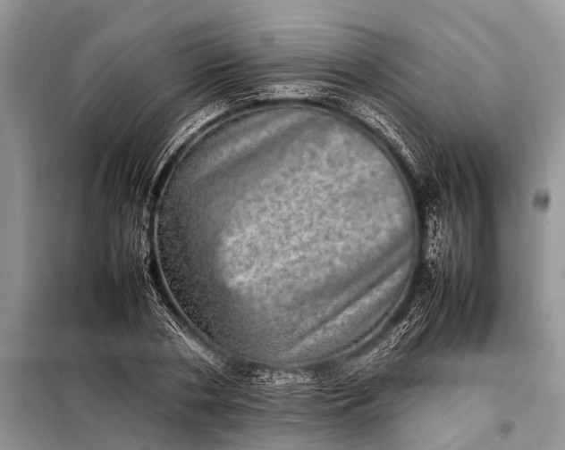 X0000097960786200804071029