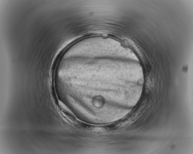 X0000097960787200804071029