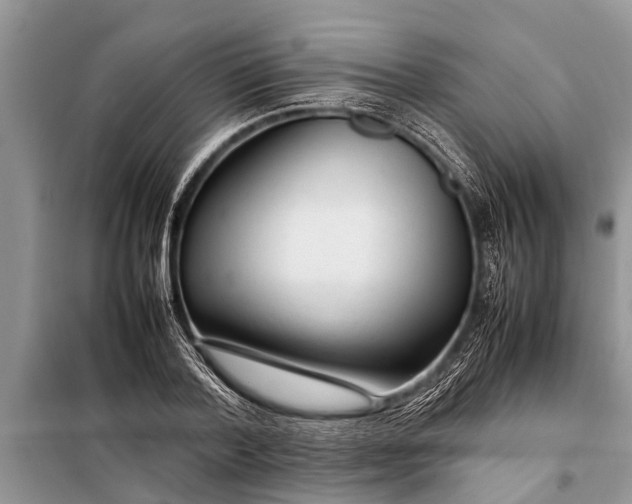 X0000097960788200804071029