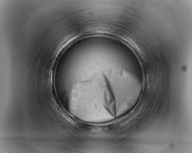 X0000097960790200804071029