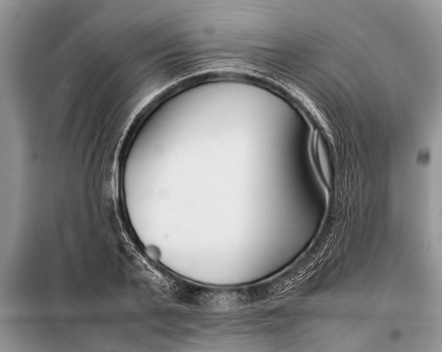 X0000097960791200804071029