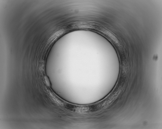 X0000097960793200804071029
