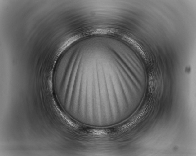 X0000097960794200804071029