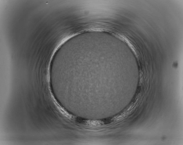 X0000097960795200804071029