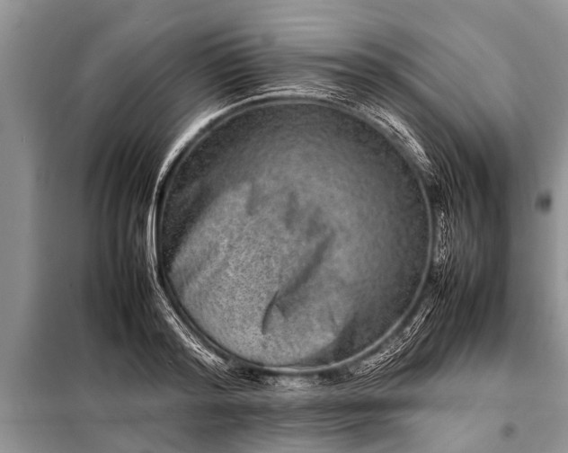 X0000097960796200804071029