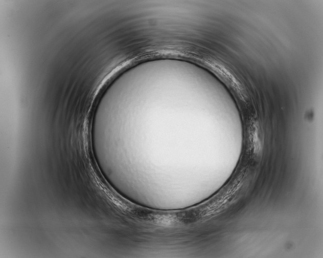 X0000097960798200804071029
