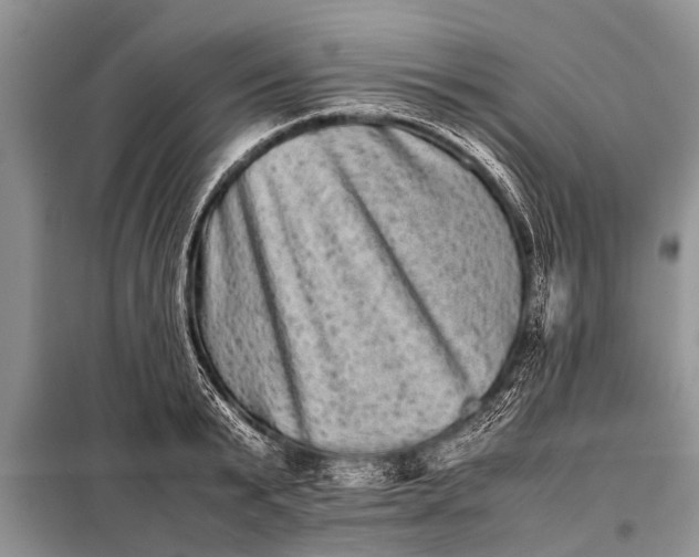X0000097960799200804071029
