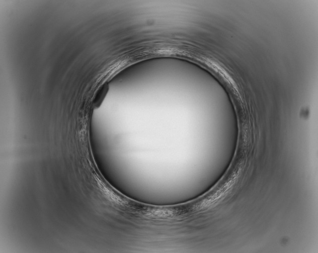 X0000097960801200804071029