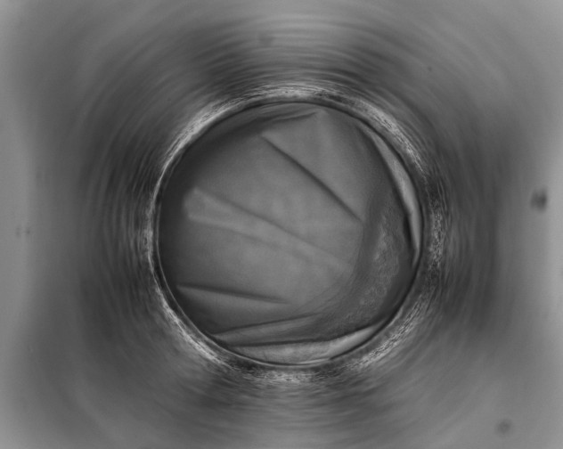 X0000097960802200804071029