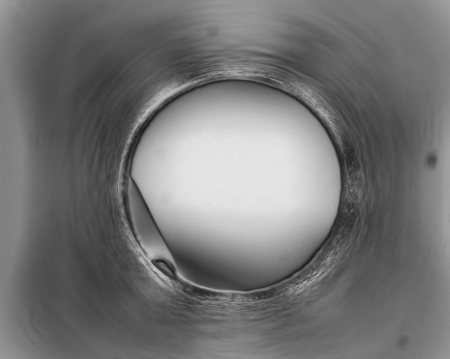 X0000097960803200804071029