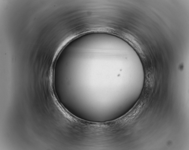 X0000097960804200804071029