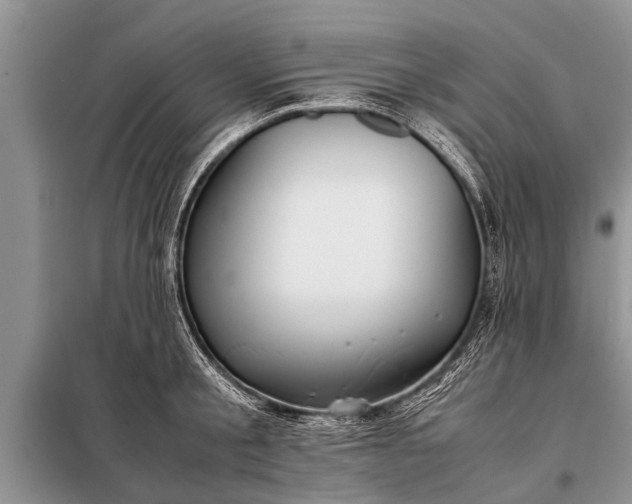 X0000097960805200804071029