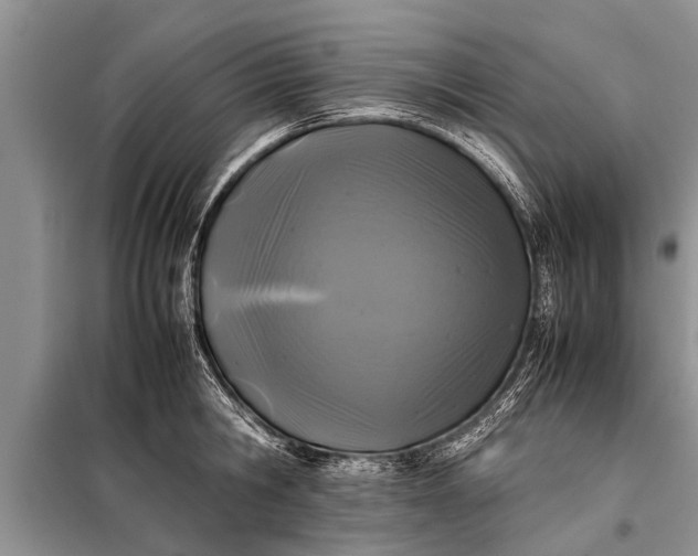 X0000097960806200804071029