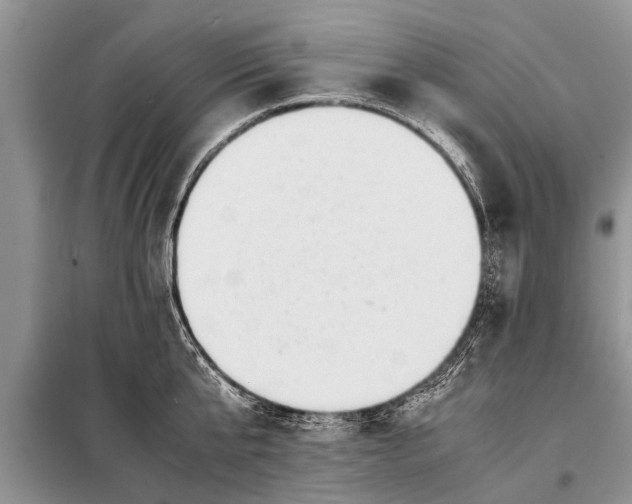 X0000097960807200804071029