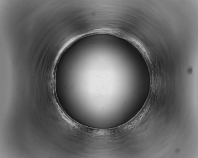 X0000097960808200804071029