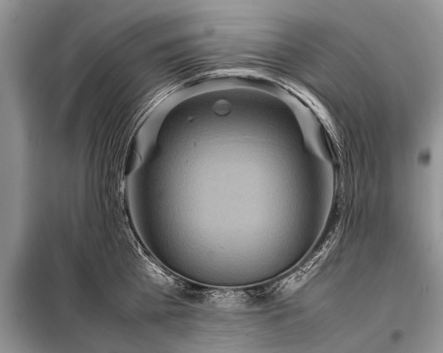 X0000097960809200804071029