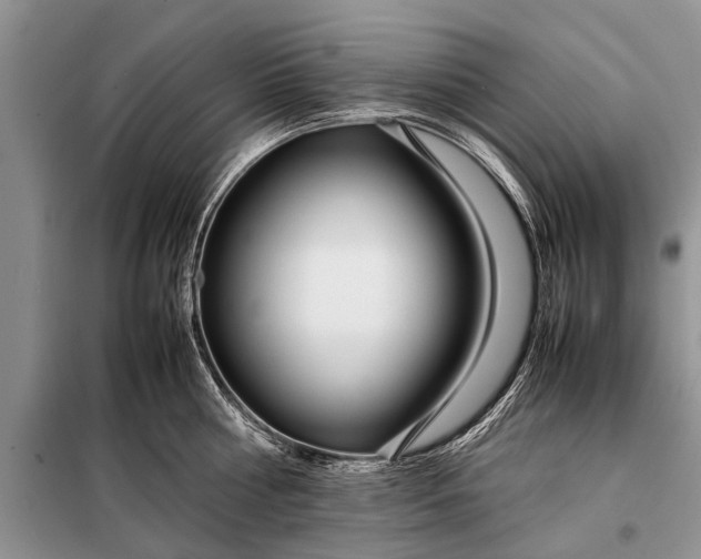 X0000097960810200804071029