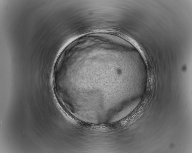 X0000097960811200804071029