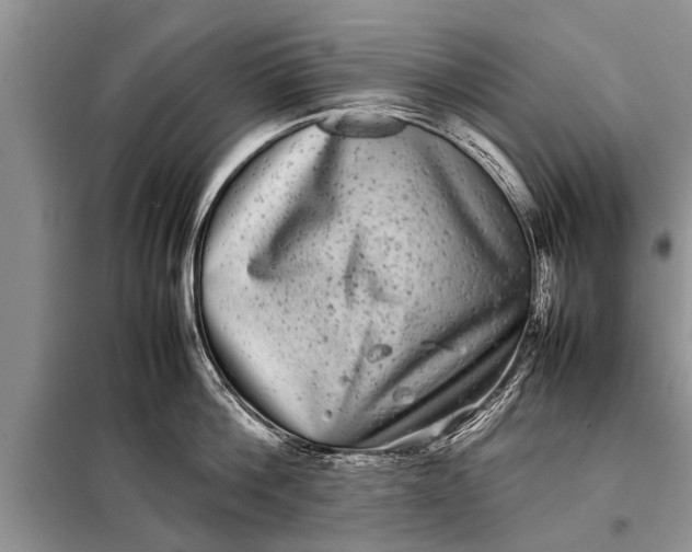 X0000097960812200804071029