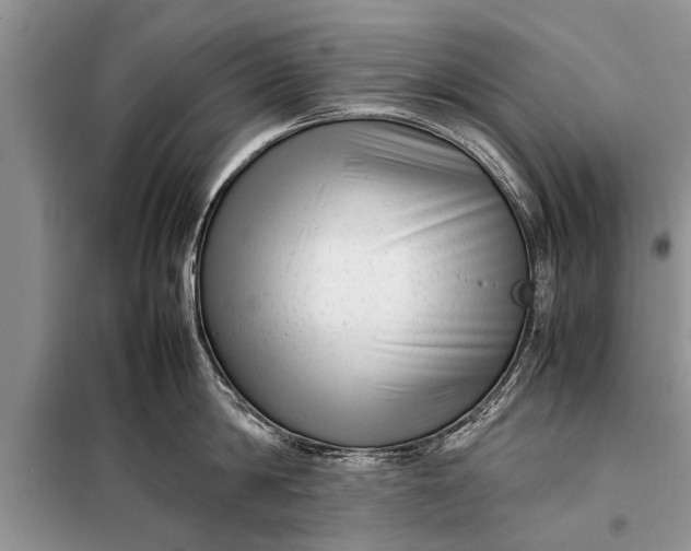 X0000097960814200804071029