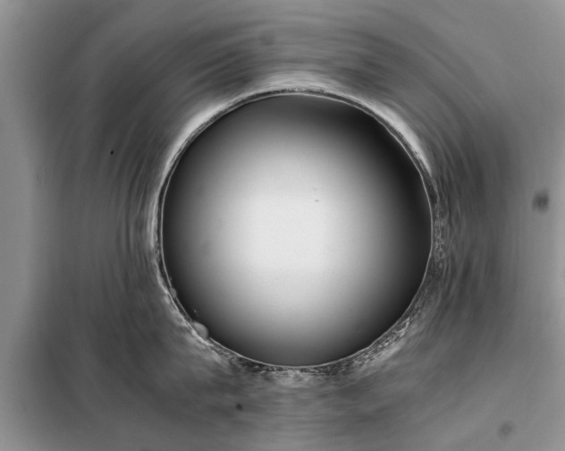 X0000097960815200804071029