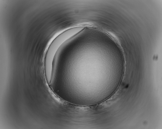 X0000097960816200804071029
