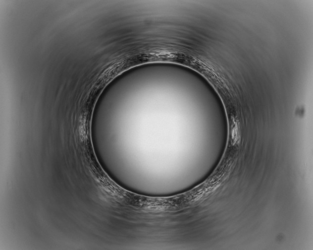 X0000097960819200804071028