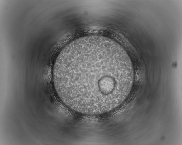 X0000097960820200804071028