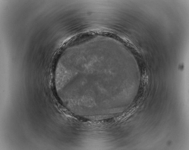 X0000097960822200804071028