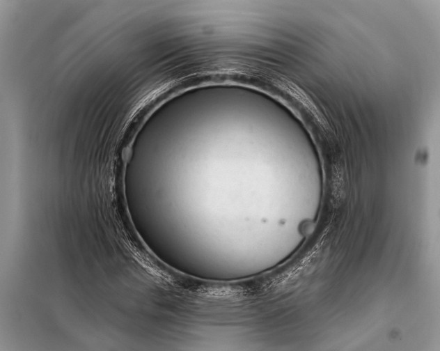 X0000097960826200804071028