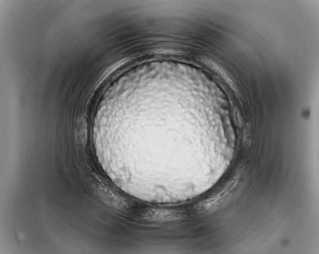 X0000097960829200804071028
