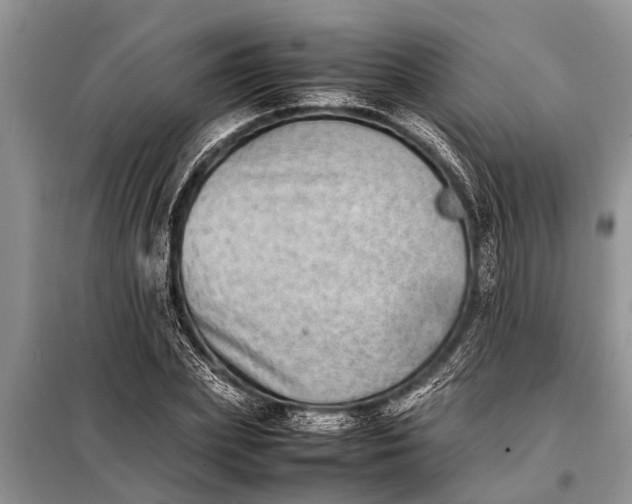 X0000097960831200804071028