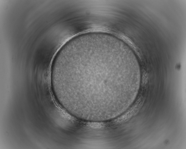 X0000097960836200804071028