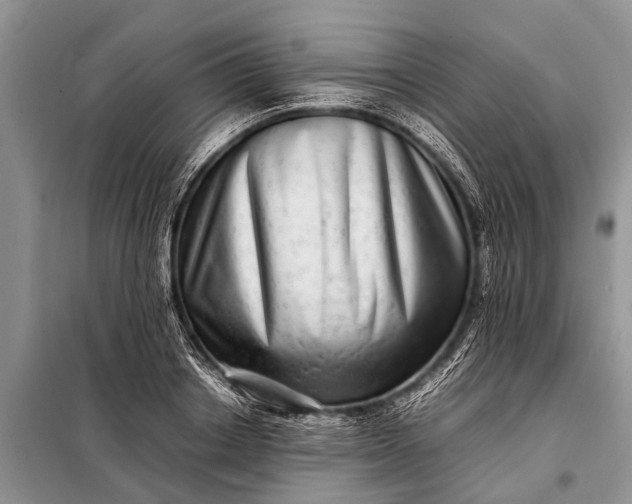 X0000097960842200804071029