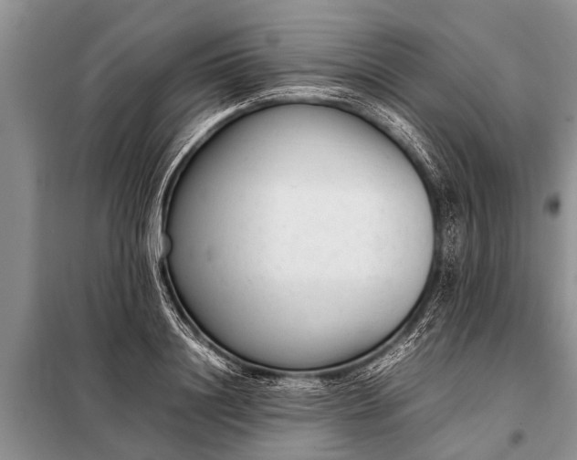 X0000097960844200804071029