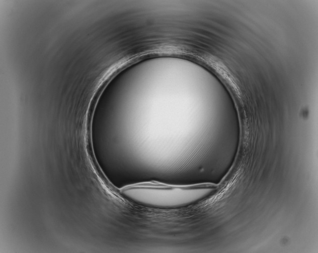 X0000097960845200804071029