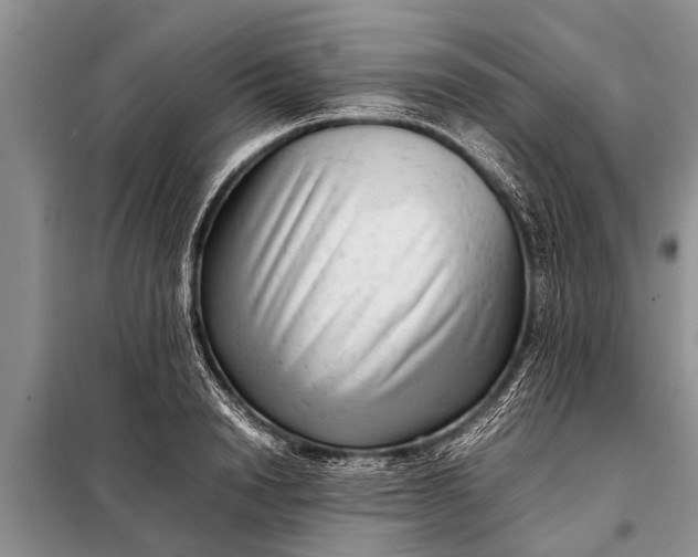 X0000097960846200804071029