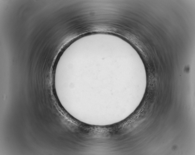 X0000097960848200804071029