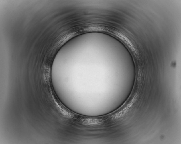 X0000097960849200804071029