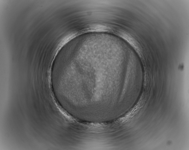 X0000097960850200804071029