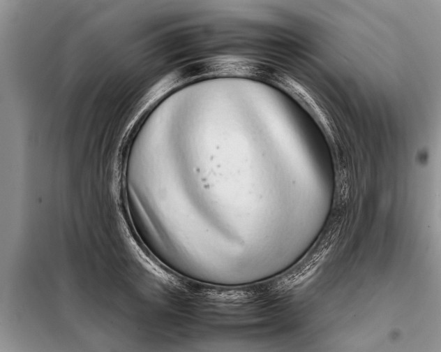 X0000097960851200804071029