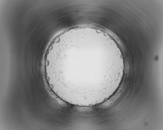 X0000097960856200804071029