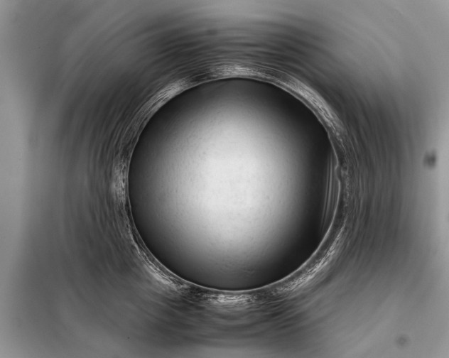 X0000097960857200804071029
