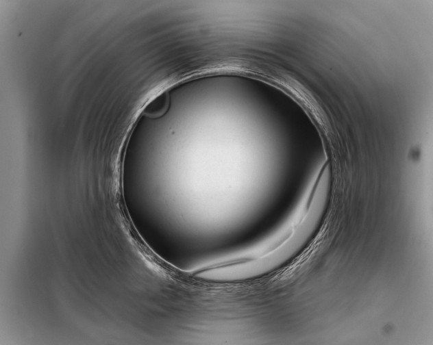 X0000097960858200804071029