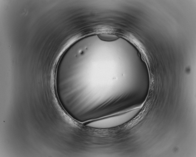 X0000097960859200804071029
