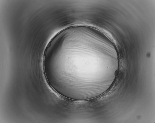 X0000097960863200804071029
