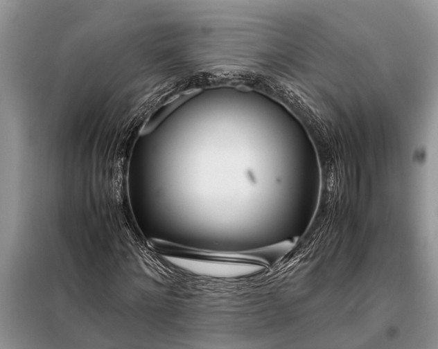 X0000097960868200804071028