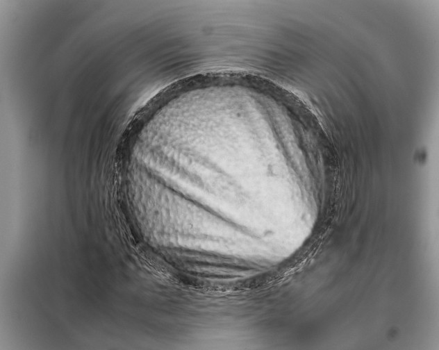 X0000097960871200804071028